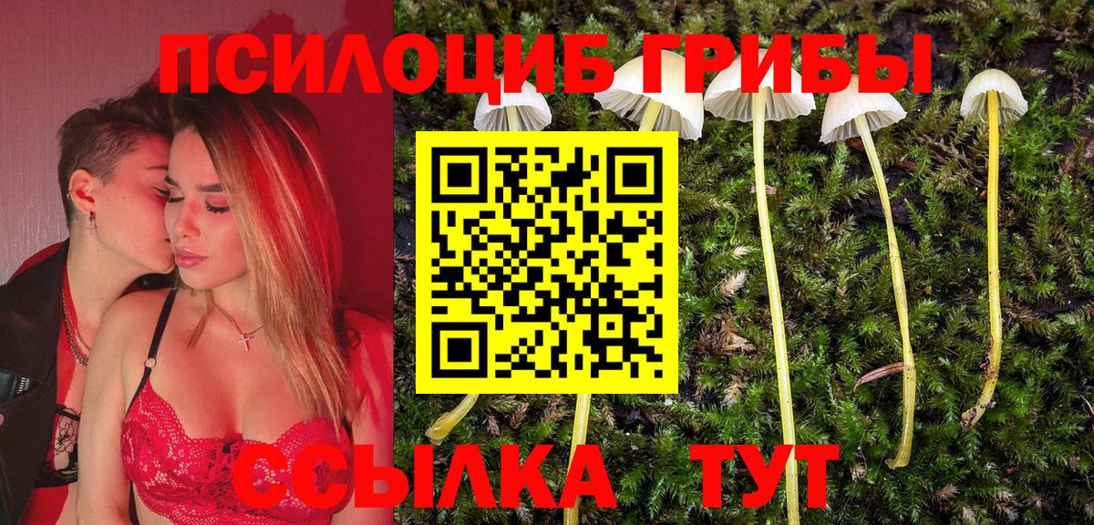 наркошоп  Вход с VPN  Малгобек  Галлюциногенные грибы GOLDEN TEACHER 